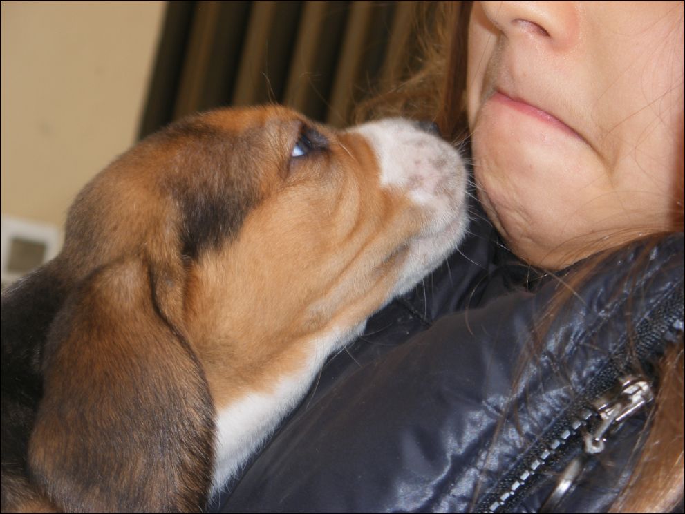 cuccioli amelie-65